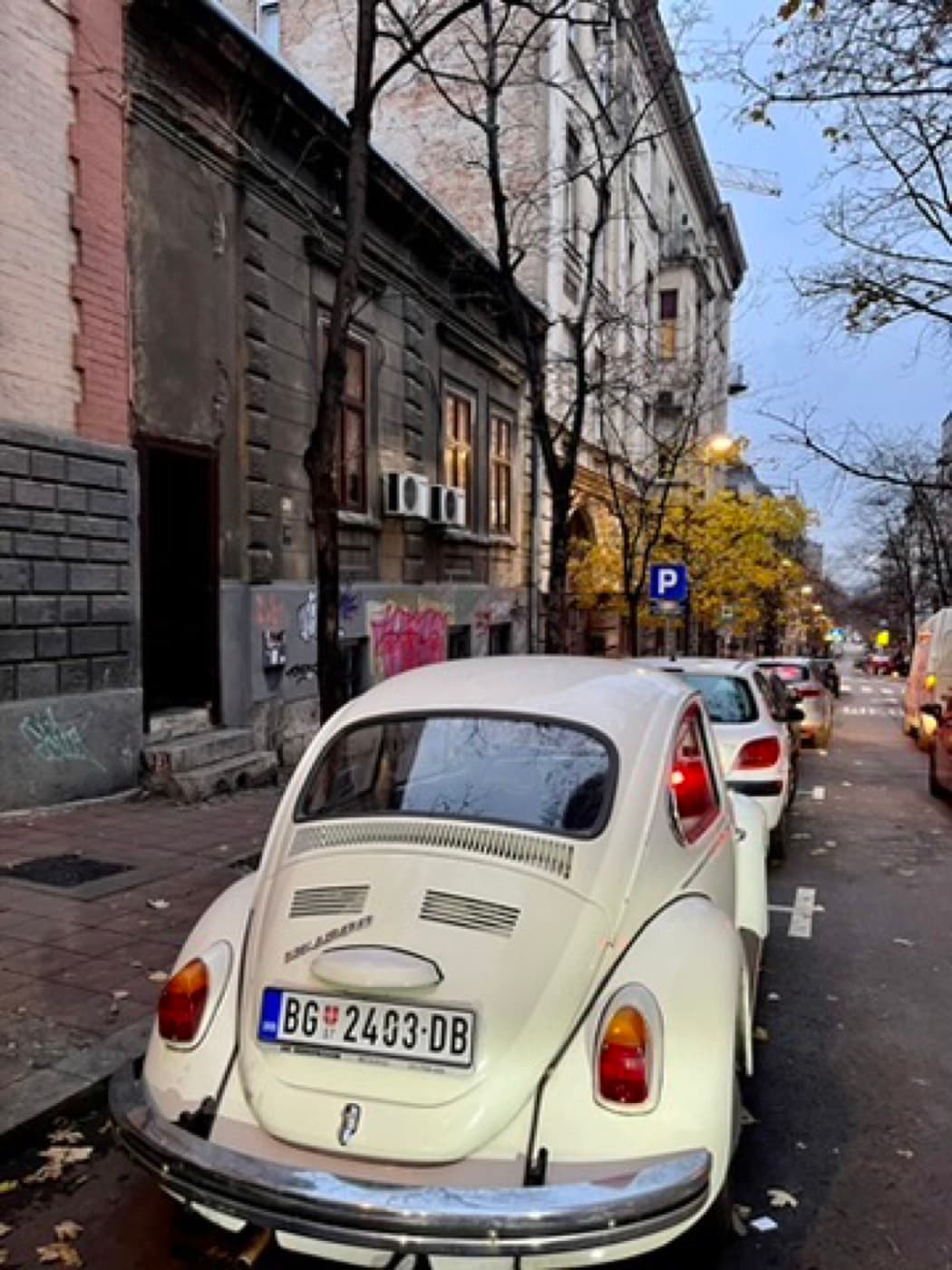 Fotoğraf 11